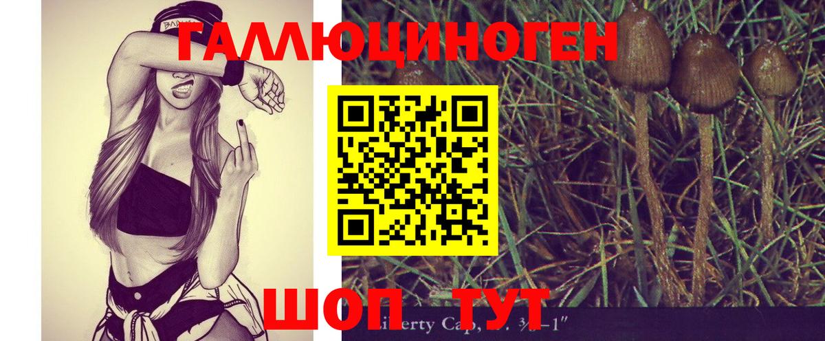 Галлюциногенные грибы MAGIC MUSHROOMS Гай